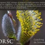 Xerrada participativa gratuïta: "El model ORSC, de Coaching Sistemes Relacionals i Organitzacionals"