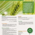 POSTGRAU 5a edició 2018 GESTIÓ ESTRATÈGICA DE L’EMPRESA AGROALIMENTÀRIA [PGEA]
