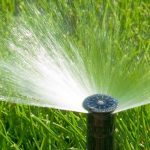 II Curs internacional en disseny, gestió i innovació en regadiu