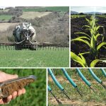 Curs d’habilitació per elaborar plans de gestió de dejeccions ramaderes