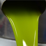 Jornada tècnica: "Els olivers i el mosaic agroforestal en la prevenció d'incendis i la valorització de la producció agrària" (25a Fira de l'Oli DOP Siurana, de Reus)