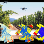 II Jornada científica i tècnica de teledetecció i agricultura de precisió