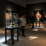 Visita a  l'exposició  "Mat Collishaw. The End of Innocence" a la Fundació Sorigué. Lleida