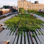 JORNADES DE COBERTES VERDES I ENJARDINAMENTS VERTICALS