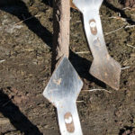 Jornada "Intercambio de experiencias entre Grupos Operativos con temática de agricultura ecológica"