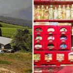 Visita a la Bodega Castell d'Encus i al Museu de les Botigues de Salàs de Pallars