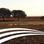 Intercanvi virtual entre grups operatius i Projectes Innovadors sobre traçabilitat