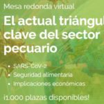 Mesa Redonda Virtual Ágora TOP GAN