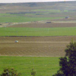Jornada: L’ ús agrícola de les aigües regenerades