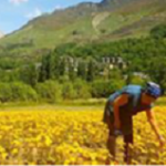 Jornada: Dia Internacional de les Dones Rurals