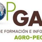 IV Mesa Redonda Virtual Ágora Top Gan