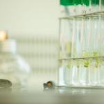 Jornada en línia: El CRAG i la fórmula d’èxit per al teu negoci: recerca, competitivitat i talent