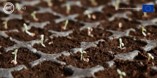 Programa EIT Food Seedbed Incubator: Convocatòria Oberta