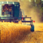 AGRIMAX: Webinar sobre valorització de subproductes agraris a través de biorefineries. Sessió formativa.