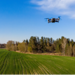 Jornada d'intercanvi d'experiències entre grups operatius i projectes innovadors  sobre sòls