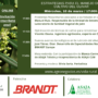 Webinar Vida Rural: Estrategias para el manejo del cultivo del olivar