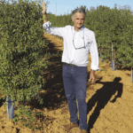 Jornada sobre l'ametller ecològic