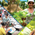 Participa als fòrums públics dels  esdeveniments  previs a la cimera de sistemes alimentaris