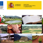 Jornada intercanvi d'experiències entre grups operatius i projectes innovadors - valorització de subproductes