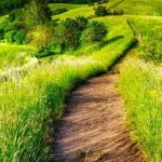 Webinar: El sector agroalimentari i l'empresa familiar