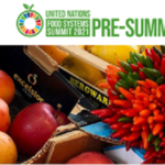 Pre-cimera sistemes alimenaris de les Nacions Unides