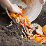 Curs Mestre compostaire 2021