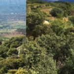 Visita tècnica a la Bodega Castell d'Encús