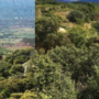 Visita tècnica a la Bodega Castell d’Encús