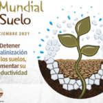 Seminari inernacional en línia sobre el diccionari multilíngüe de la ciència del sòl