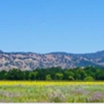 Curs: Com dinamitzar les instal·lacions agroalimentàries a través de la venda directa i el turisme