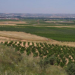 Jornada online: Gestió de l’aigua d’ús agrícola en situació d’escassetat