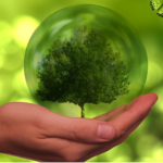 L'amoníac com a vector energètic per a transport i emmagatzematge d'hidrogen