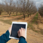 Jornada: Gestió documental a les explotacions: quaderns, DAN, DUN, ROMA, compromisos
