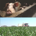 Jornada tècnica: La gestió dels nutrients des de la granja al camp PRO-FEM AGRICLOSE