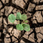 Jornada - Impacte del canvi climàtic en la prevenció de riscos laborals