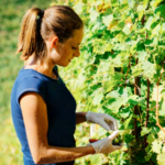 Jornada tècnica: Dia Internacional  de les Dones  Rurals