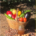 Jornada tècnica: Promoció del  producte local  produït per dones