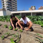 Visita tècnica a l'Hort Urbà situat a la coberta del Mercat de la Vall d'Hebron