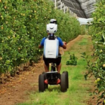 Agricultura de Precisió en  fructicultura. Projecte  PAgFRUIT i Repositori Digital  d’Agricultura de Precisió