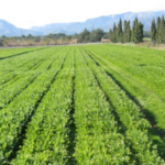 Jornada tècnica: Alternatives  de l’economia  feminista