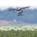 Jornada de Presentació de Resultats Grup Operatiu PhytoDron