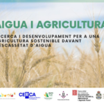 Jornada sobre Aigua i Agricultura: Recerca i desenvolupament per a una agricultura sostenible davant l'escassetat d'aigua