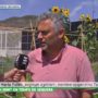 “Com cultivar un hort en temps de sequera?” – El company Josep Maria Vallès al programa Tot es Mou de TV3
