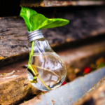 Matins d’innovació:  Solucions tecnològiques  innovadores pels reptes del  sector agroalimentari català