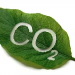 Jornada IIE: El nou repte dels projectes d'absorció de CO2, emissions CO2, mercat d'emissions i repercussió al món rural”