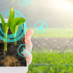 Sostenibilitat del regadiu espanyol