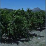 Jornada "Que n’hem après de la sequera del 2023. Taules de reflexió", en el marc de la Fira Agrària de Sant Miquel de Lleida 2023