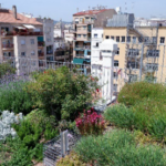 Jornades Tècniques Projecte Verd de Proximitat BCN