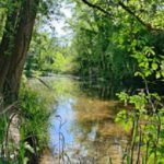 Sessió informativa sobre ajuts adreçats al desenvolupament de projectes i actuacions de la restauració hidromorfològica