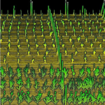 Jornada tècnica: La digitalització al sector agrari